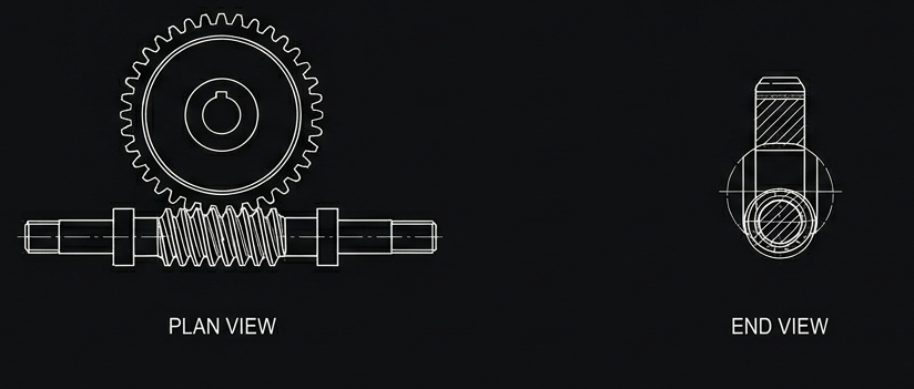 worm gear